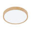 Maio Plastic LED Flush Mount