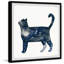 " Snobby Cat " by Parvez Taj-1014492154