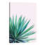 Agave Love - Print on Canvas-101336516-112914258