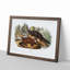 Mink by J.W. Audubon - Picture Frame Painting Print-55733668-55733672
