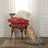  Square Throw Cushion-1314331647