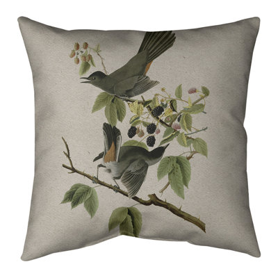 John James Audubon Reversible Throw Pillow