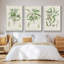 Antique Ammond Botanical II, ensemble de 3 toiles encadrées-97759994-97759995