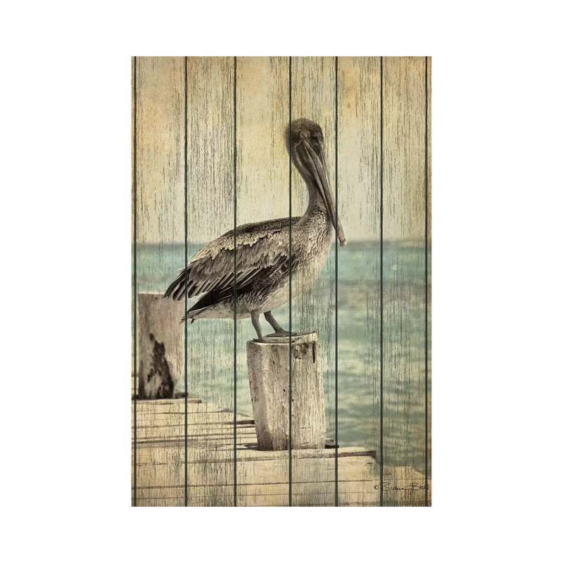 Vintage Pelican I by Susan Ball - Wrapped Canvas Gallery-Wrapped Canvas Giclée, 20.32 cm H x 30.48 cm W