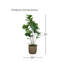 Faux Tree in Wicker/Rattan Basket-732326420