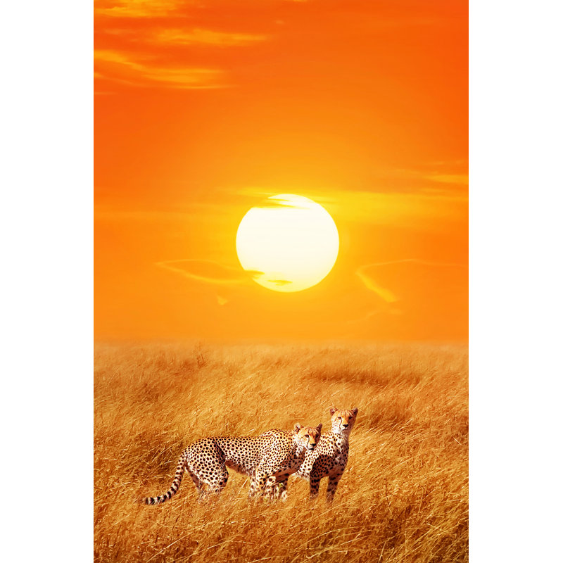 Naila Cheetahs Against Sunset, Tanzania - Wrapped Canvas Print, 122cm H x 81cm W x 3.8cm D