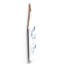 Coastal Nautical & Beach Solid Wood Wall Decor