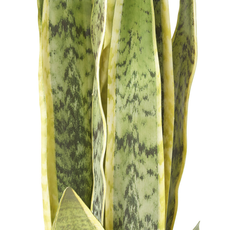 Faux Snake Plant (Sansevieria) Plant, 26" H x 9" W x 9" D