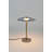 Metal Novelty Lamp