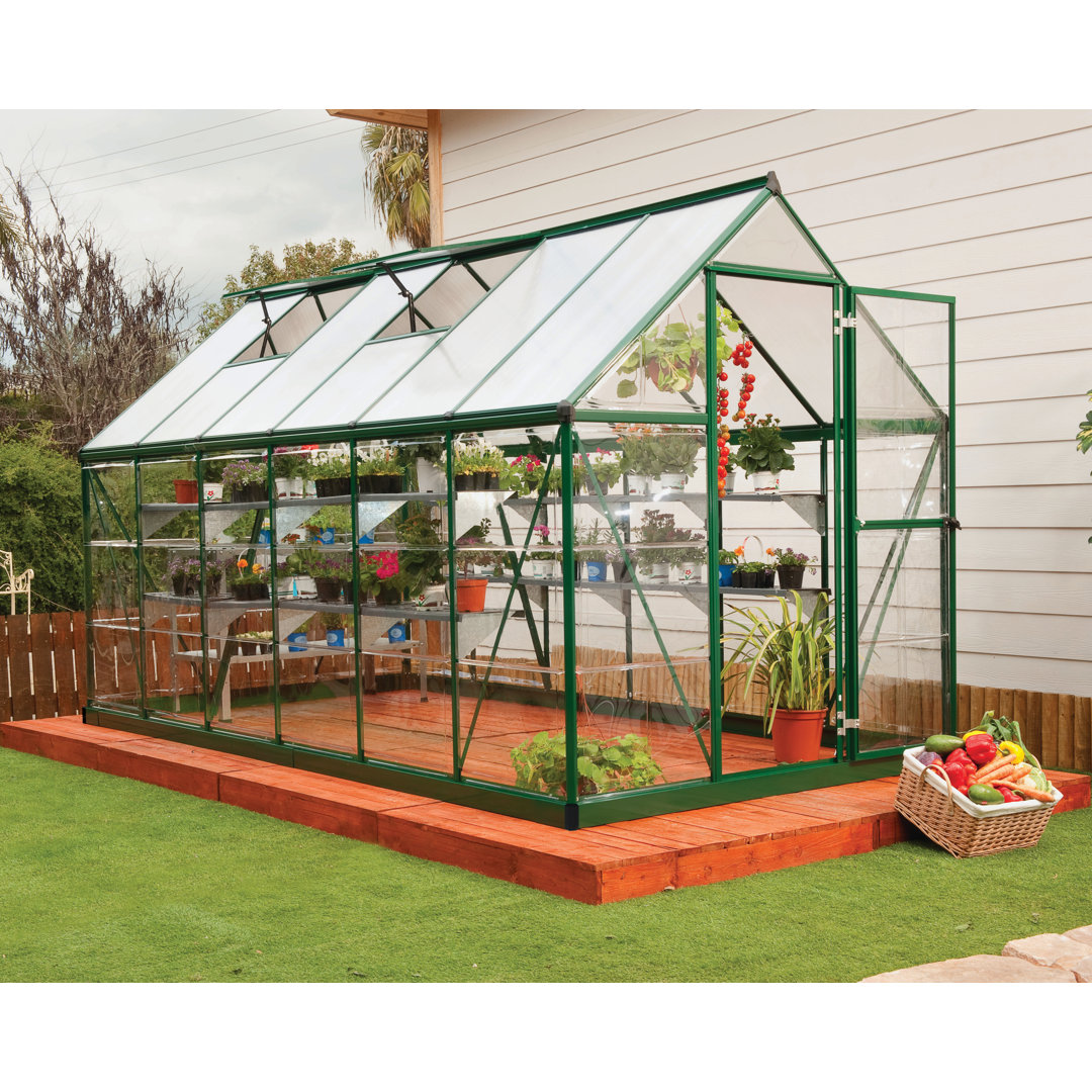 Hybrid 6 Ft W x 12 Ft D Hobby Greenhouse