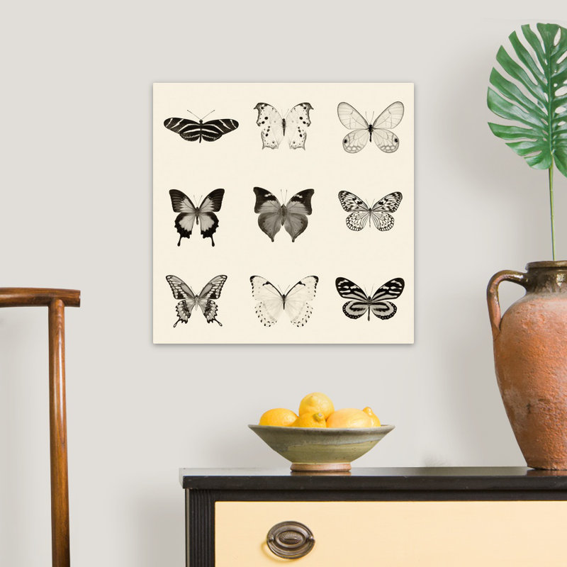 « Butterfly BW 9 patch » par Debra Van Swearingen-impression, Toile tendue, H 36 po x l 36 po x 1,25 po
