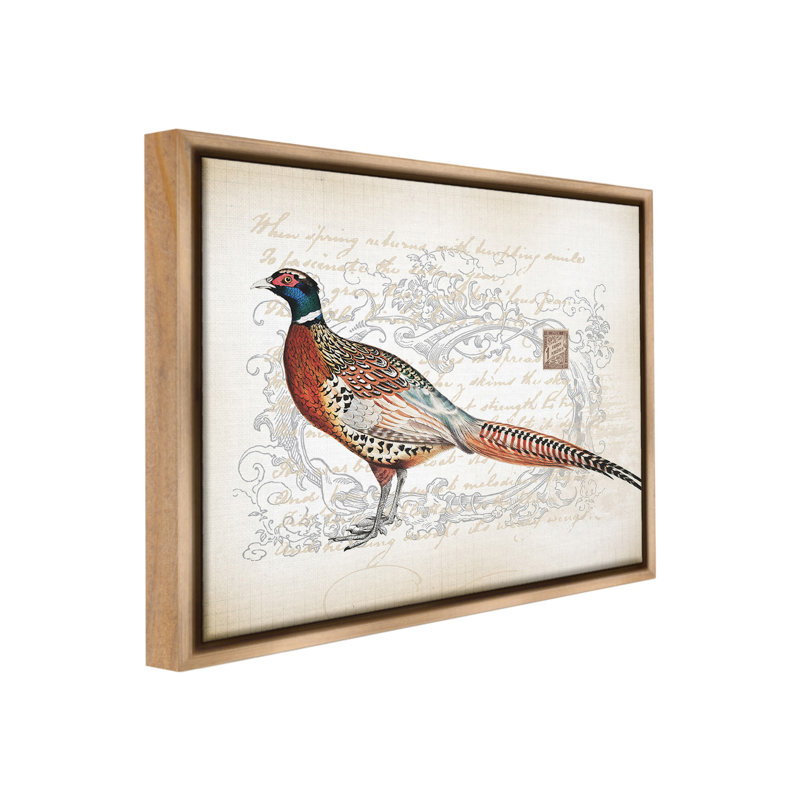 "Pheasant & Vintage Pattern" par Lula Bijoux sur toile, H 25 po x l 31 po, Cadre flottant orme Montalcino