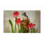 Tapis de porte antidérapant woodpecker Simonds-32793496