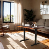 L47.24Xw23.62X1.57Thick Table Top And 2 H27.7 Cast Iron Table Base With "I" Type Table Feet , Table Leg Black