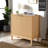 2-Door Storage Cabinet-994797371