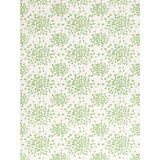 Color Pop Wallpaper Roll by Albert Hadley