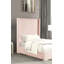 Lit chenille contemporain 1 pièce-145977266-145977272