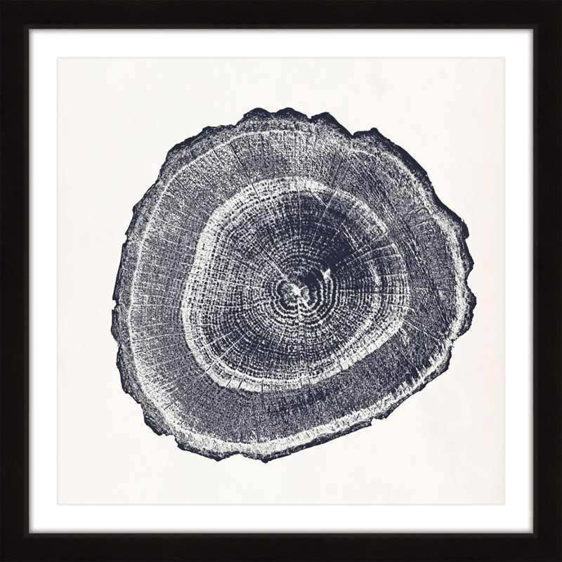 " Tree Ring III ", 24"H x 24" W x 1.5" D