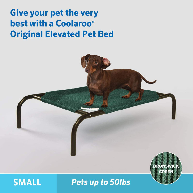 Small Brunswick Green Elevated Orthopedic Outdoor Pet Bed