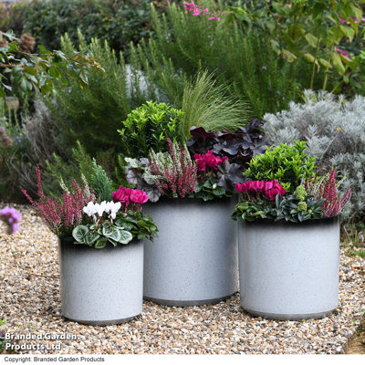 Plastic Indoor / Outdoor Pot Planter