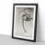 Monkey by Ohara Koson - Picture Frame Painting Print-55610414-55610417
