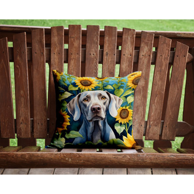 Outdoor Throw Pillow