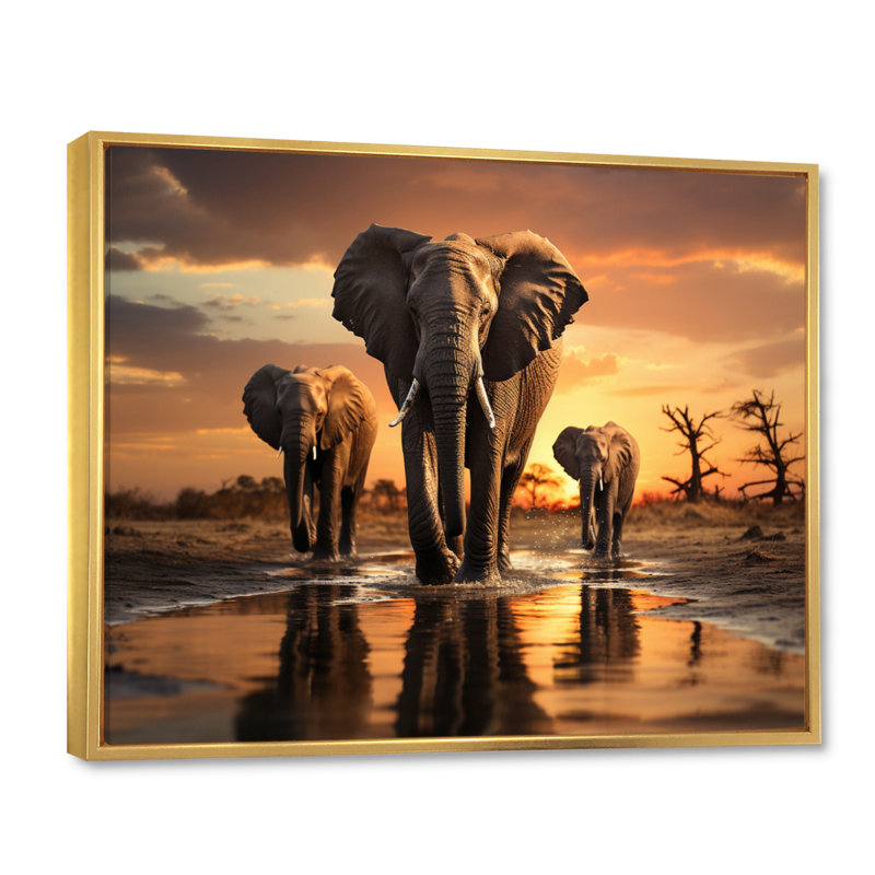 «Elephant Shadows Of Serenity II», art mural sur toile, Cadre flottant doré, H 24 po x l 32 po x P 1 po