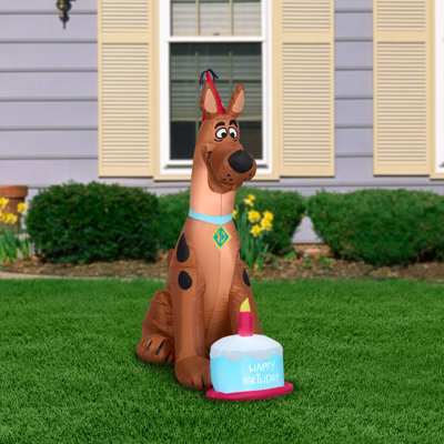 Birthday Decoration