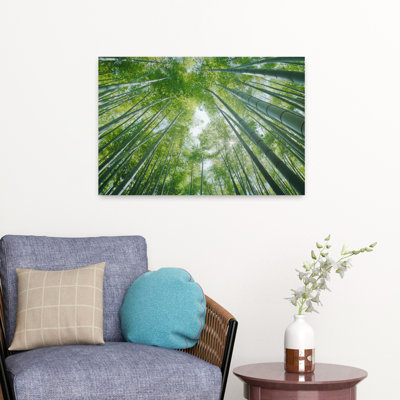 Low Angle View Of Bamboo Trees Hokokuji Temple Kamakura Kanagawa Prefecture Kanto Region Honshu Japan Abstract Contemporary Bamboo Landscape Nature...