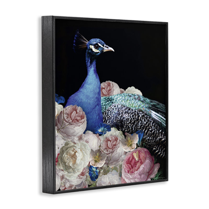 Paon et pivoines, art giclée par Reinders, Giclée encadrée noir minuit, H 14 po x l 11 po