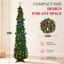 Fir Christmas Tree-99670389