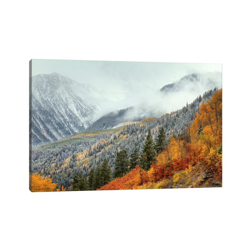 Autumn Storm 1 Piece Wrapped Canvas Wall Art