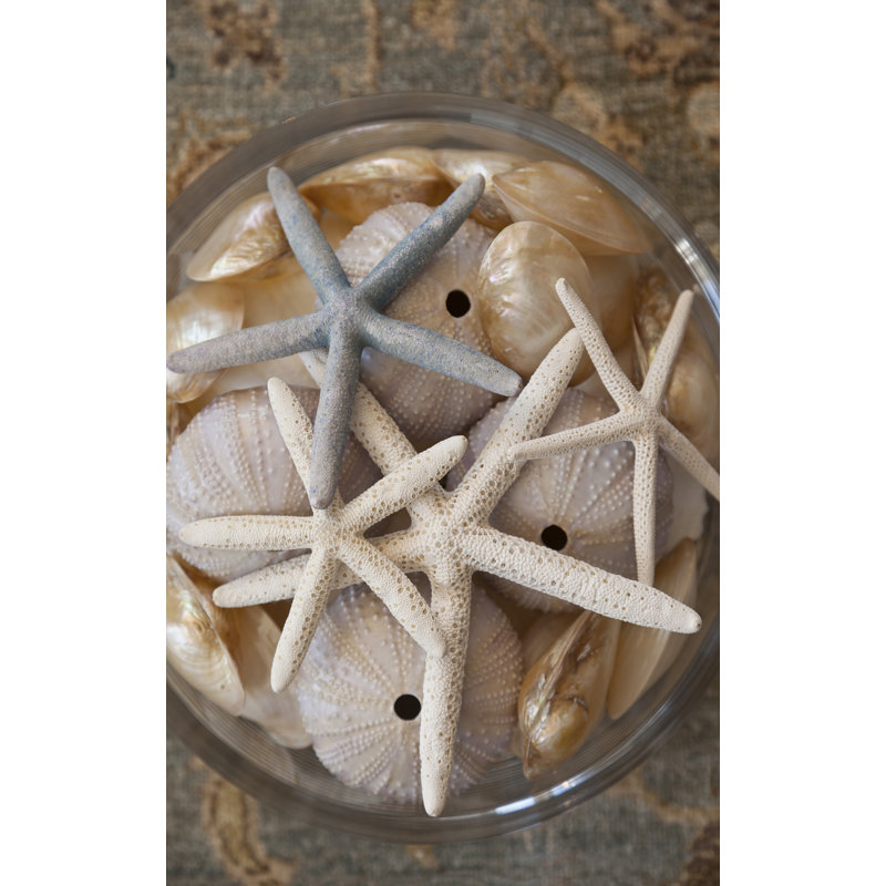 «Layered starfish» par Barclay Butera - Impression sur toile, H 48 po x l 30 po x P 1,5 po, Mat