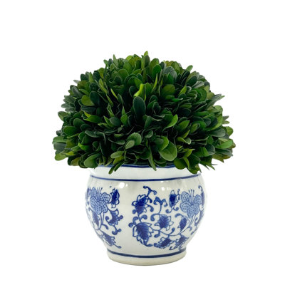 Preserved Arrangement in Pot