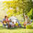 Carillon Folding Beach Chair