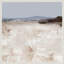 Stream par Dan Hobday-2049277817
