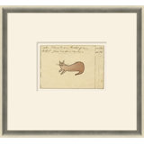 Brown Cat- Sm. Mennonite Ledger Drawing Giclee Print by Soicher Marin Archives