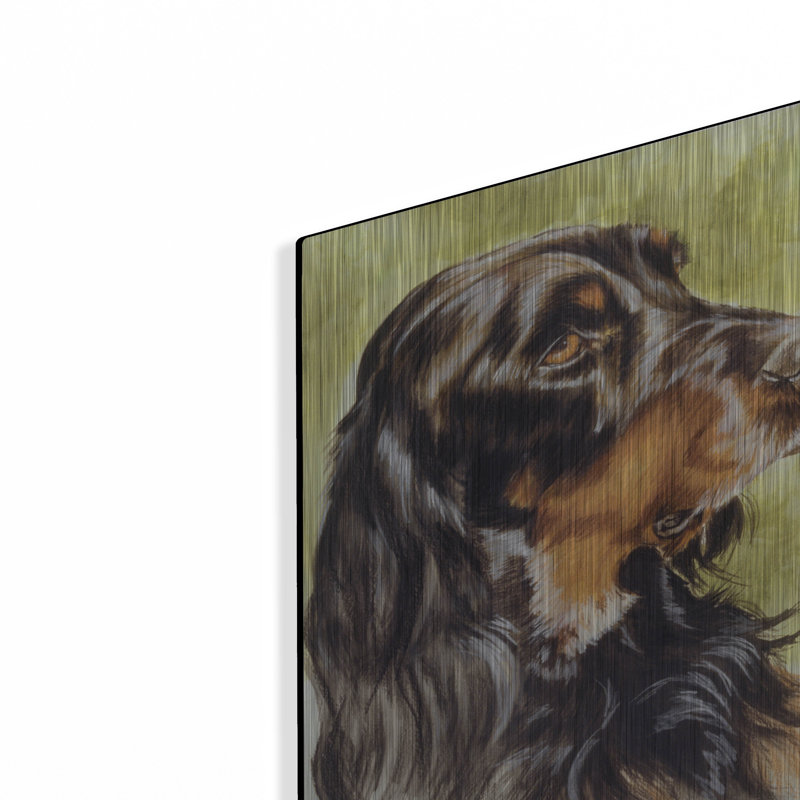 «Gordon Setter» par Barbara Keith, H 16 po x l 12 po