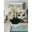 Orchid Floral Arrangement in Vase-832478504
