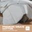 NightComfort Egyptian-Quality Cotton Anti-Allergy All Season 10.5 Tog Duvet-55815646