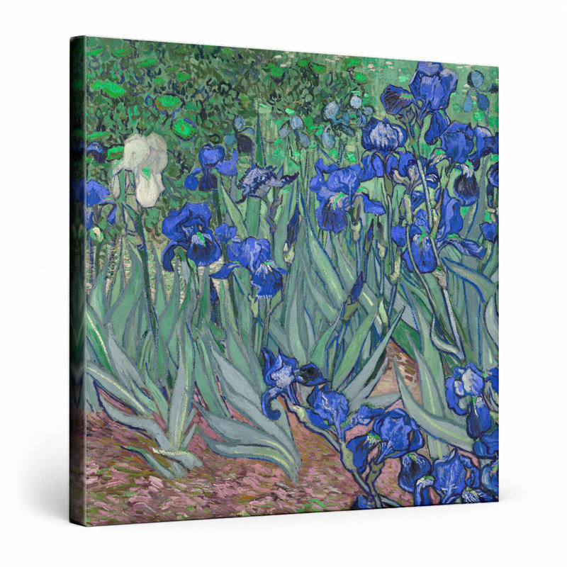Iris (1889) - art mural carré sur toile, L 16 po x H 16 po
