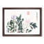Leaves & Flowers by Shen Zhou - Picture Frame Painting Print-55581843-55581844