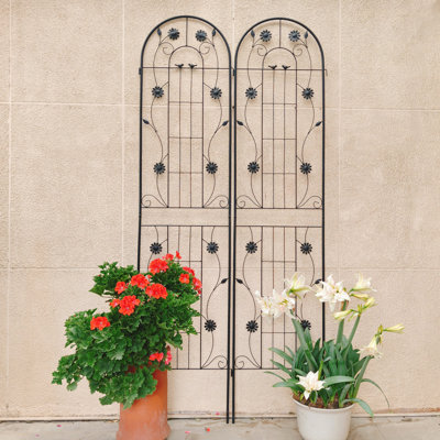 Paquet de 2 treillis de jardin en métal antirouille pour plantes grimpantes, support de fleurs extérieur durable et facile à installer