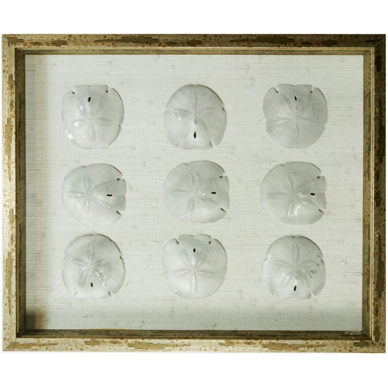 Sealife Print