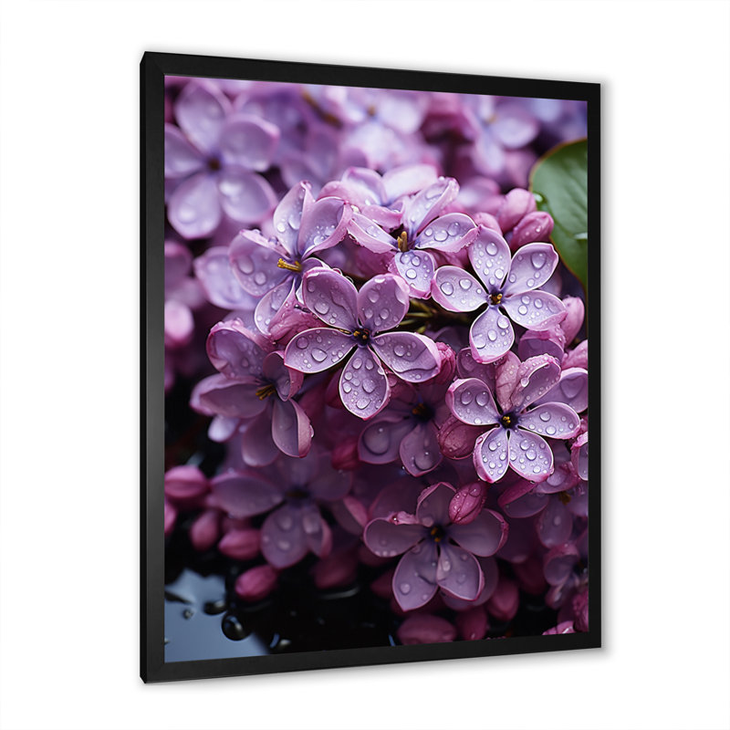 Lilas Lavande Serenade I, reproduction d'art sur toile, H 32 po x l 16 po x P 1 po, Noir