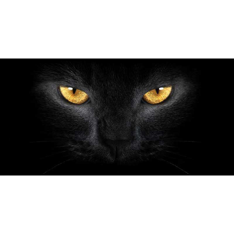 «Black Cat Wallart», reproduction d'art sur toile, Toile tendue, H 20 po x l 40 po x P 1,5 po