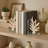 "Decorative Coral Accent on Glass Base Bookends - Modern Coastal Inspired Book Ends for Bookshelf, Desk, or Home Decor - Set of 2, 7"", White "