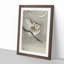 Long-Eared Owl by Ohara Koson - Picture Frame Painting Print-55580553-55580555