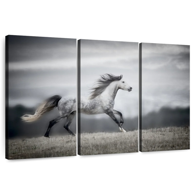 Brampt Wind Blown Mane II, 42" H x 65" W