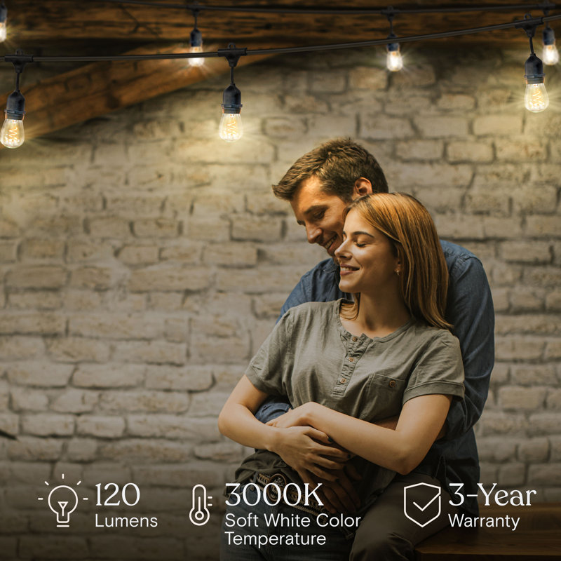 15-Light 48 ft. Outdoor Plug-in 2W 3000k LED Hanging Edison Spiral Filament String Lights